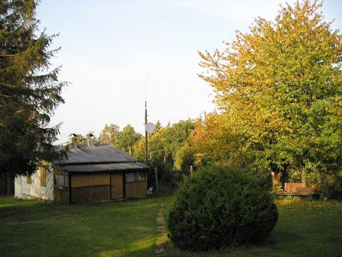 Foto 8